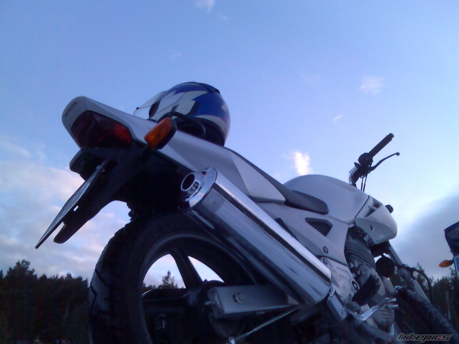 Photo 1300383