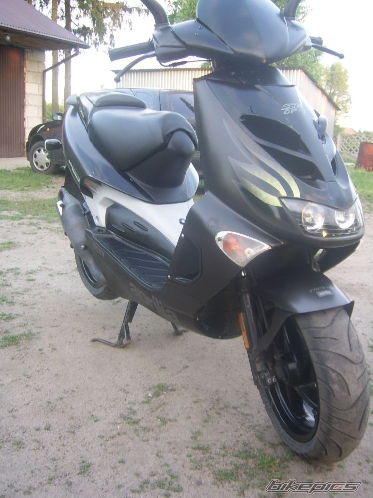 Photo 1300493