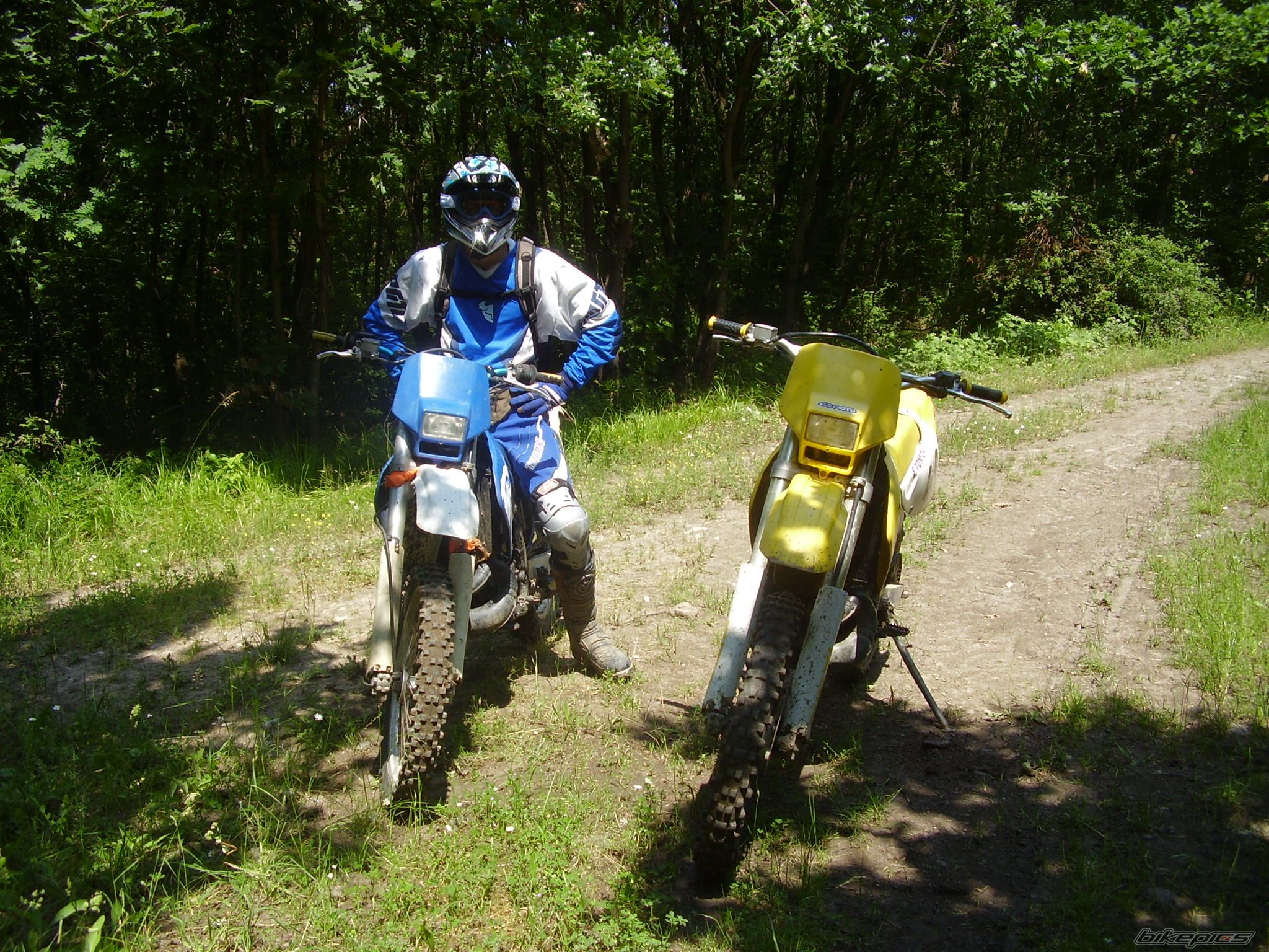 Photo 1300538