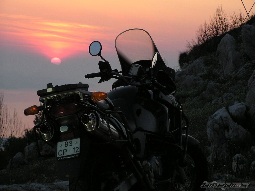 Bike Photo 1300809