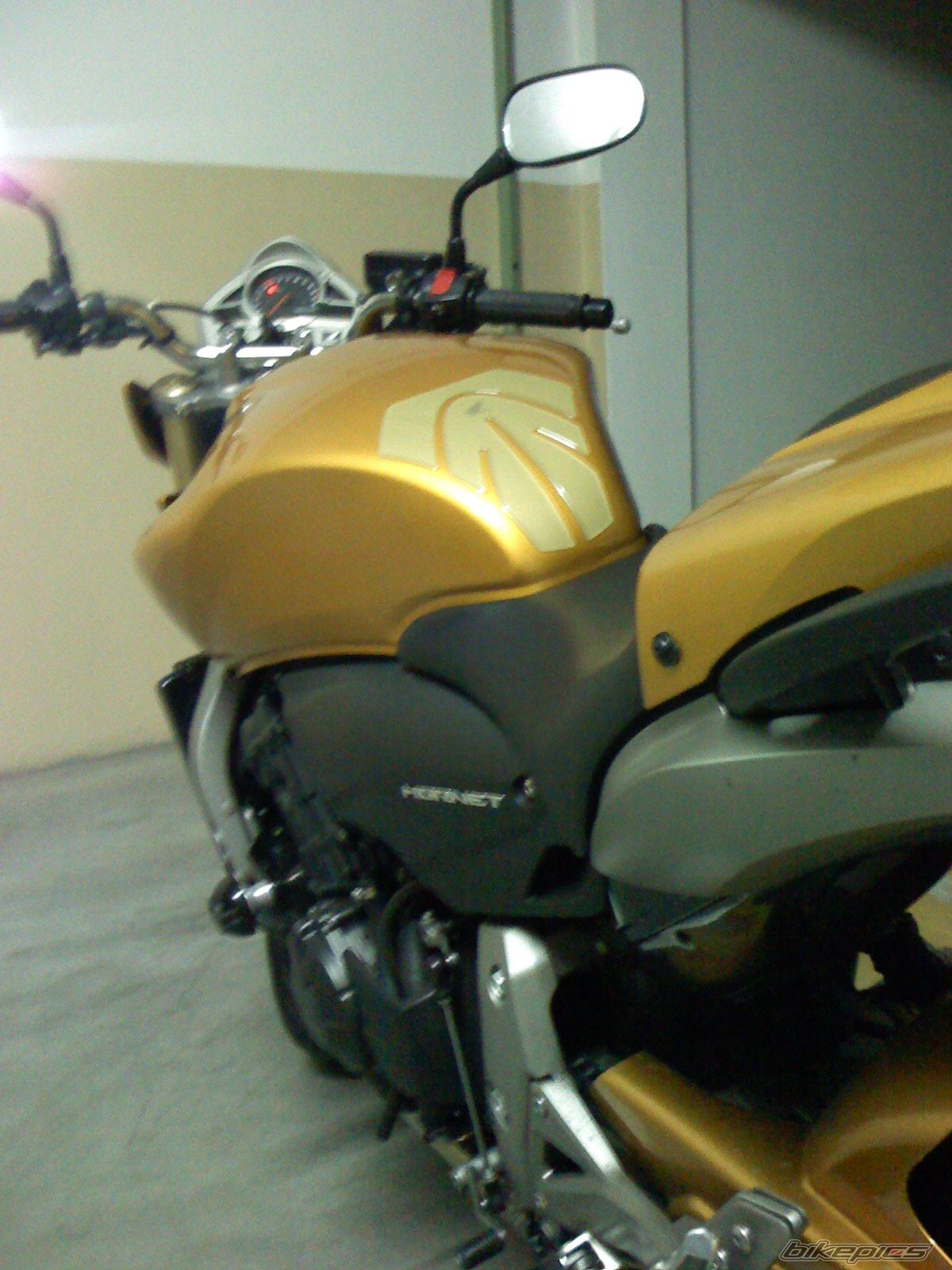 Photo 1300876