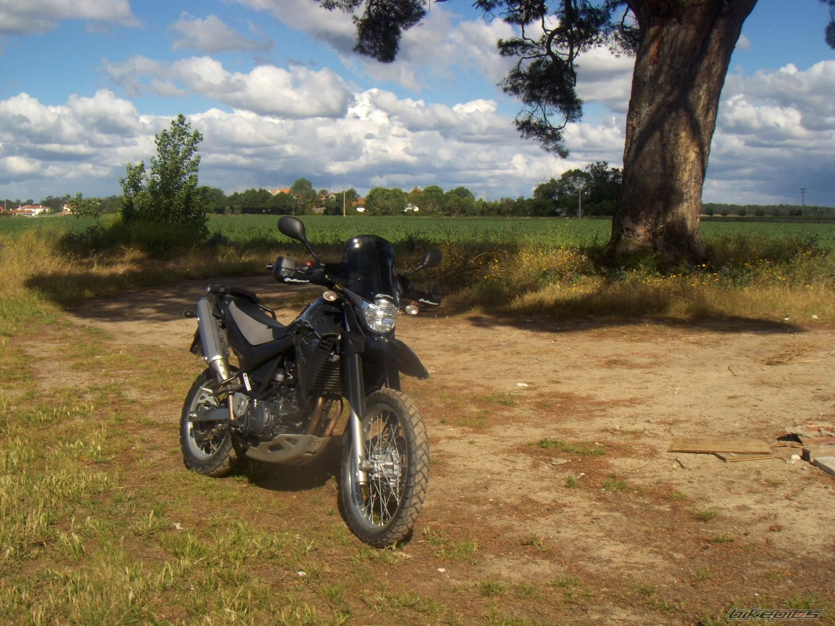 Bike Photo 1300959