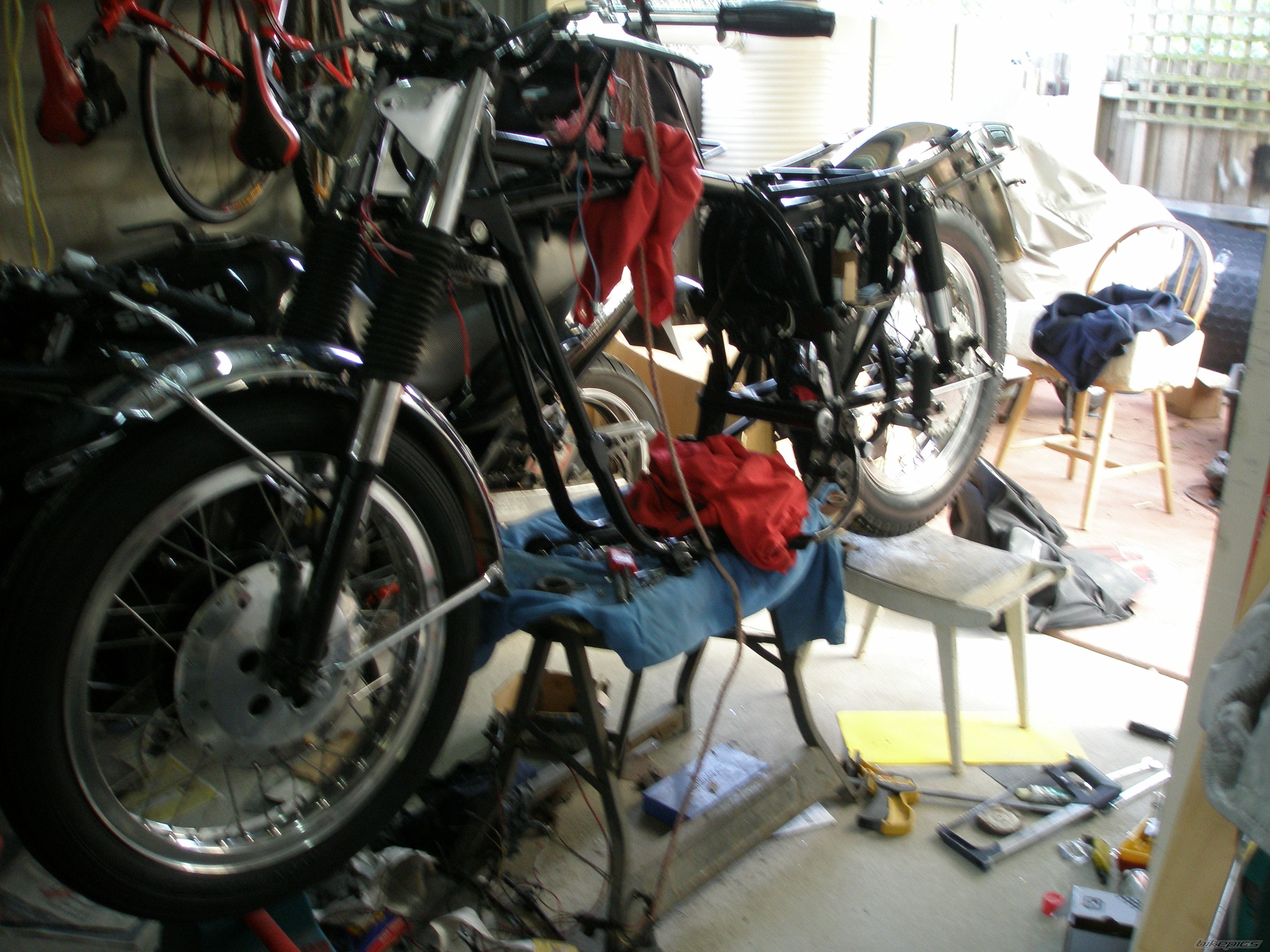 Photo 1301033