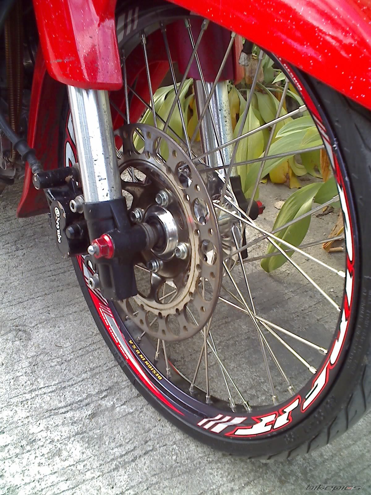 Photo 1301039
