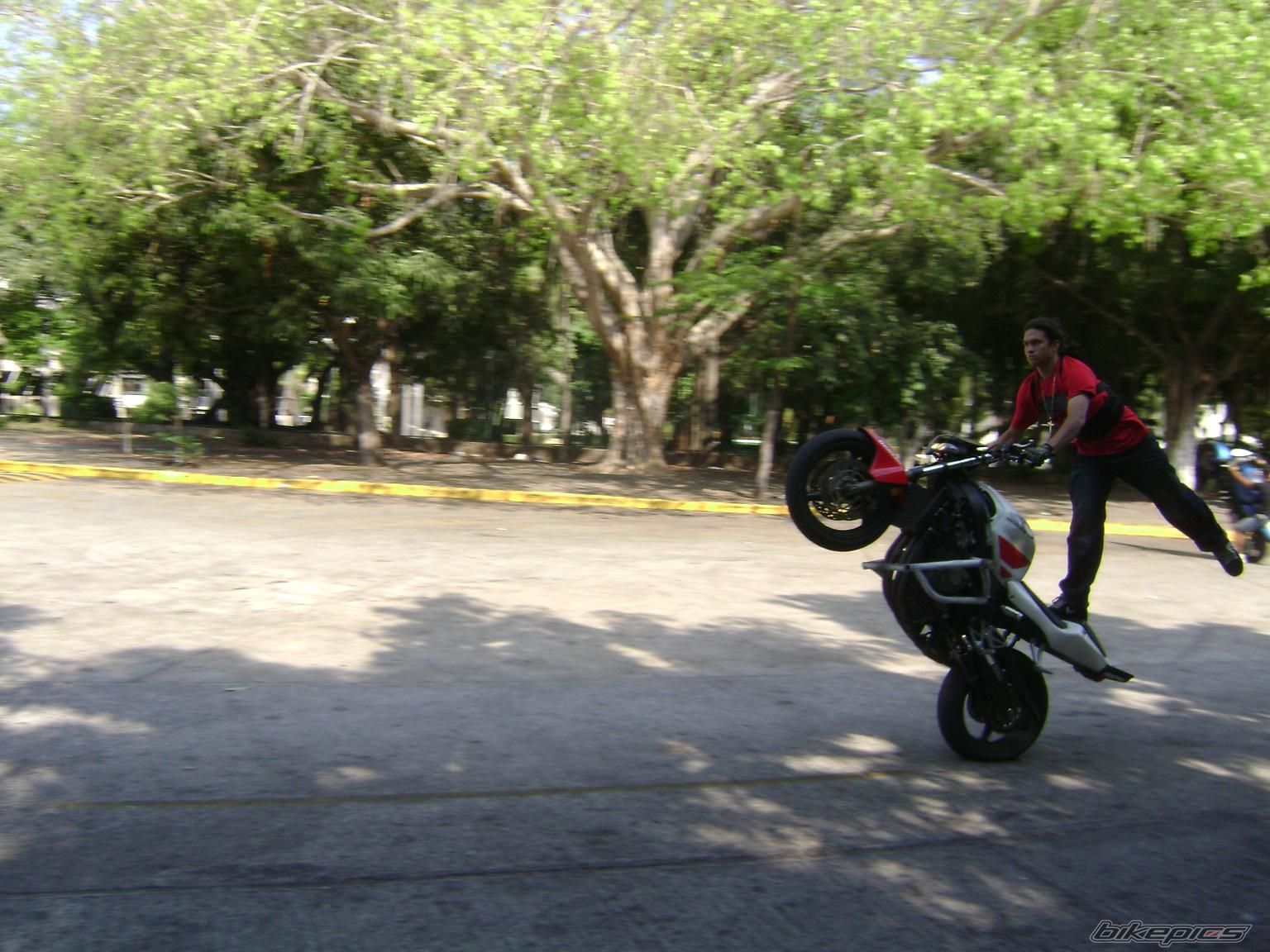 Photo 1301067