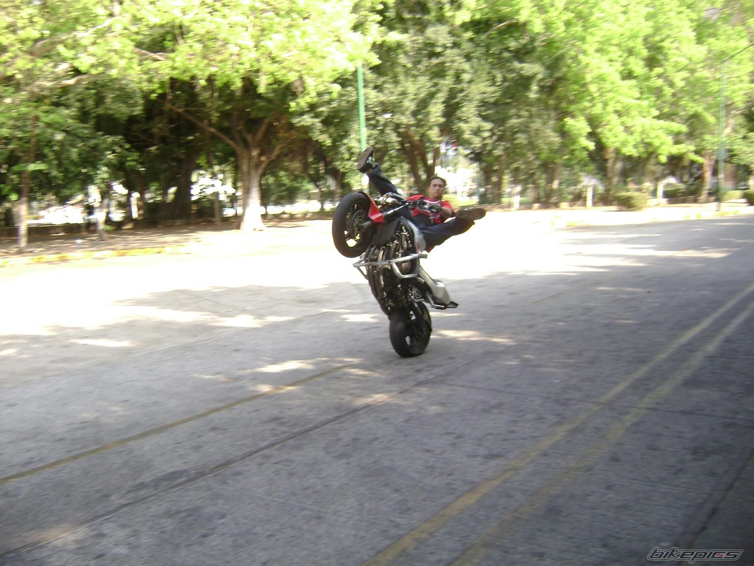 Photo 1301072