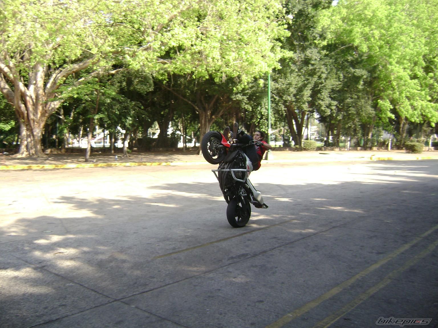 Photo 1301073