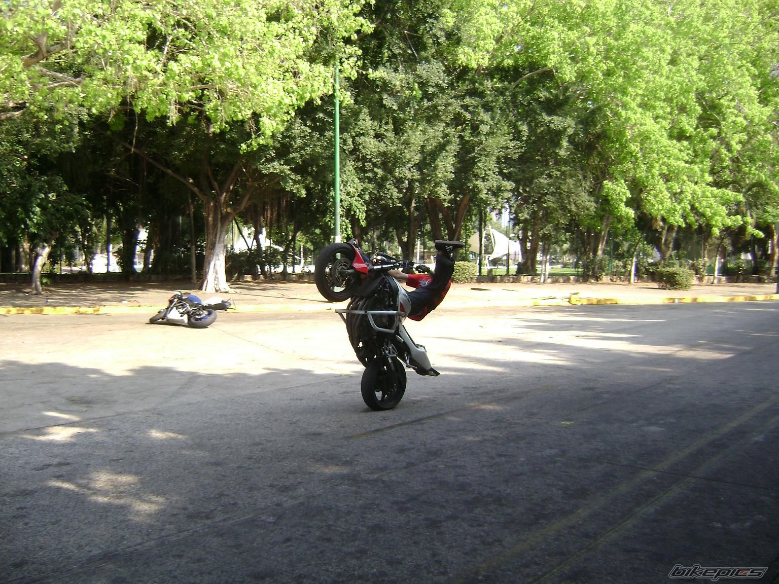Photo 1301074