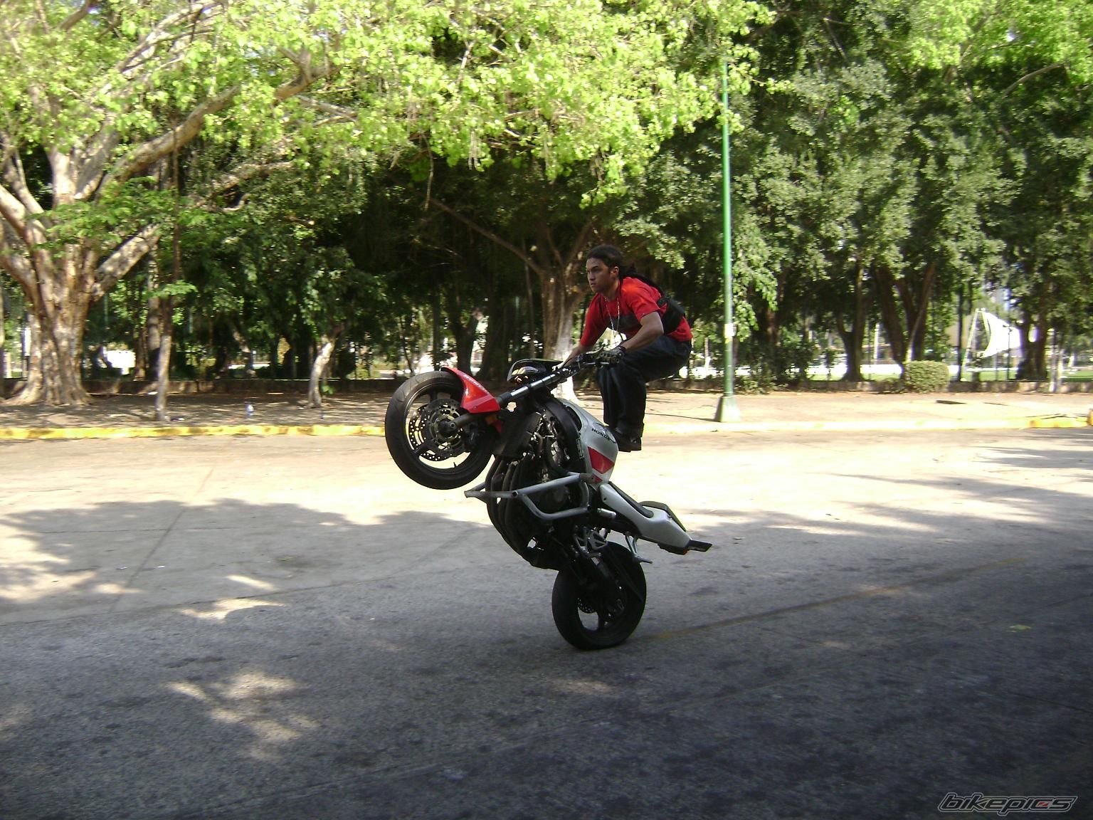 Photo 1301076
