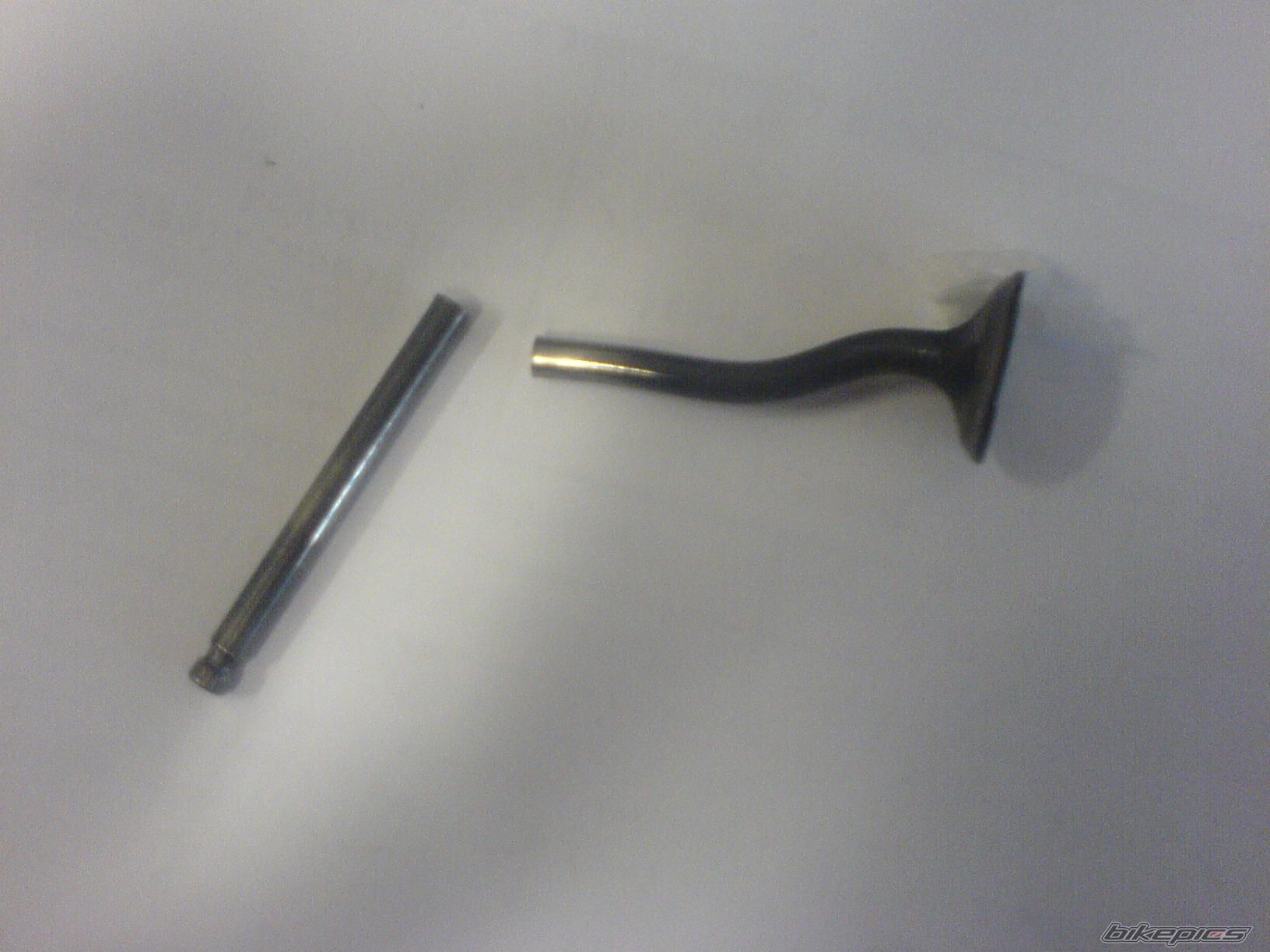 Photo 1301103