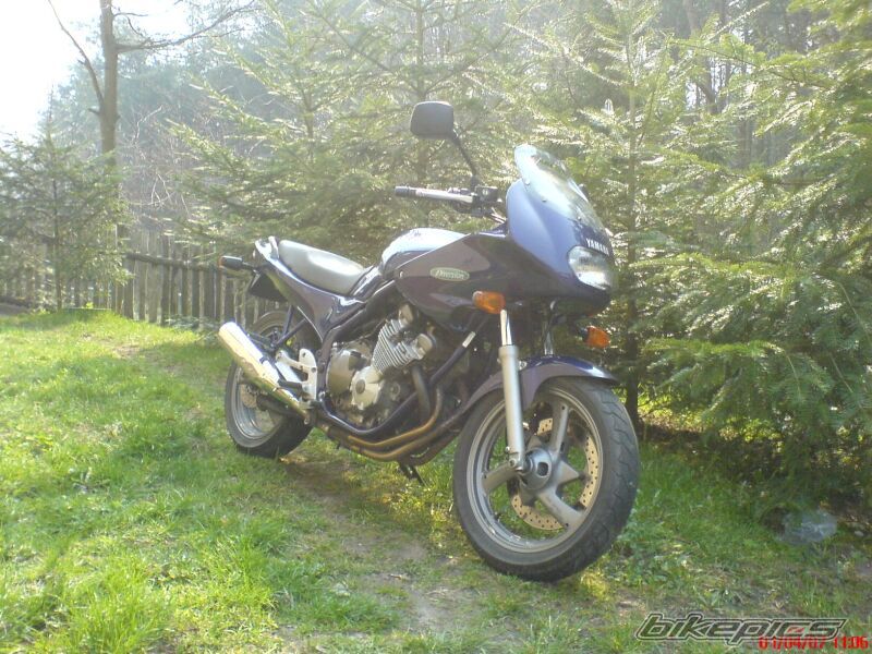 Photo 1301113