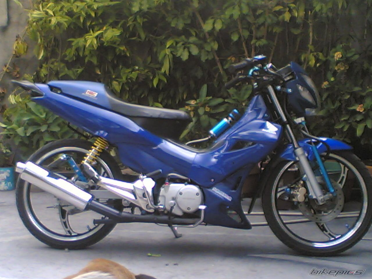 Bike Photo 1301161