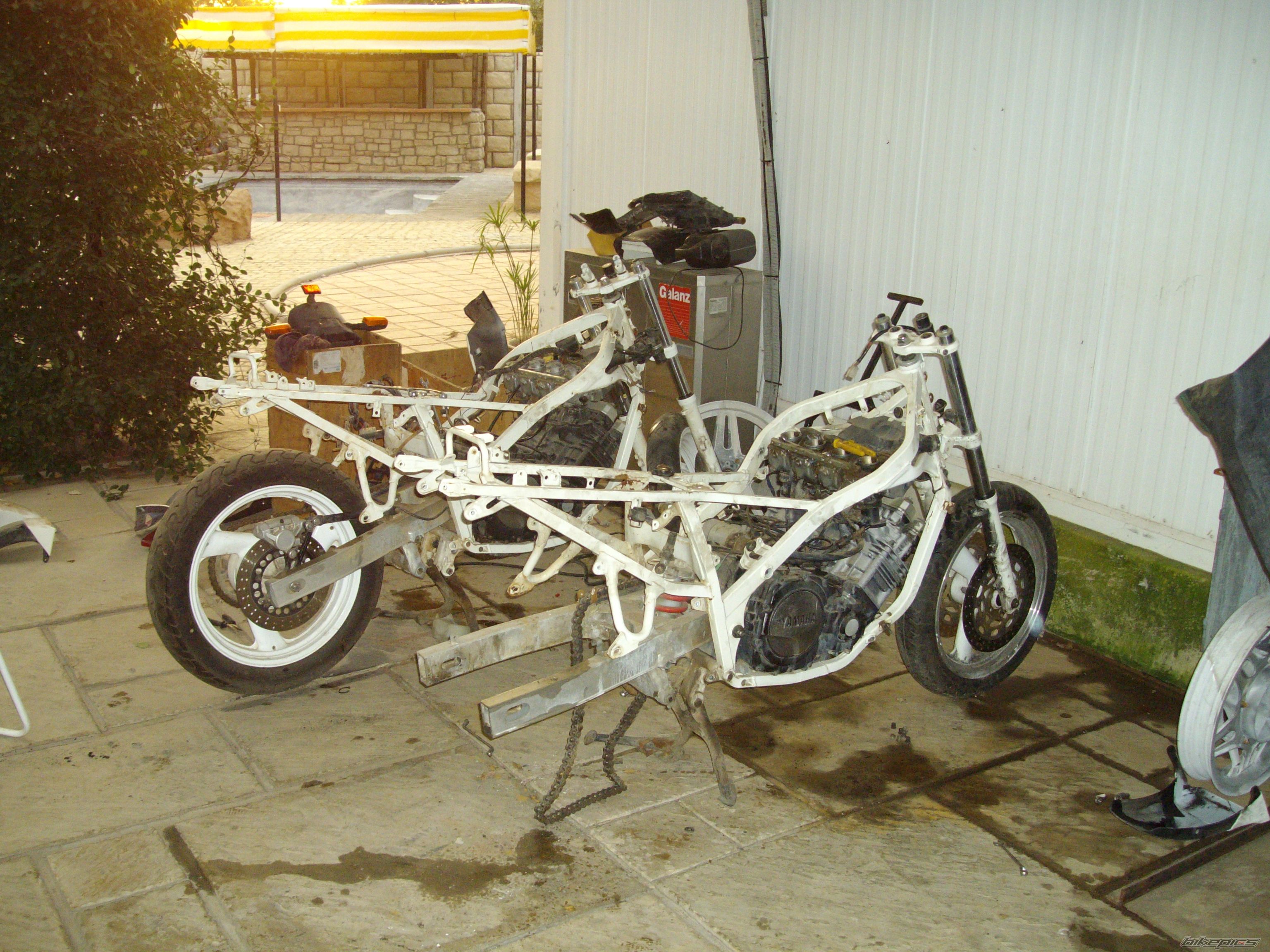 Photo 1301171