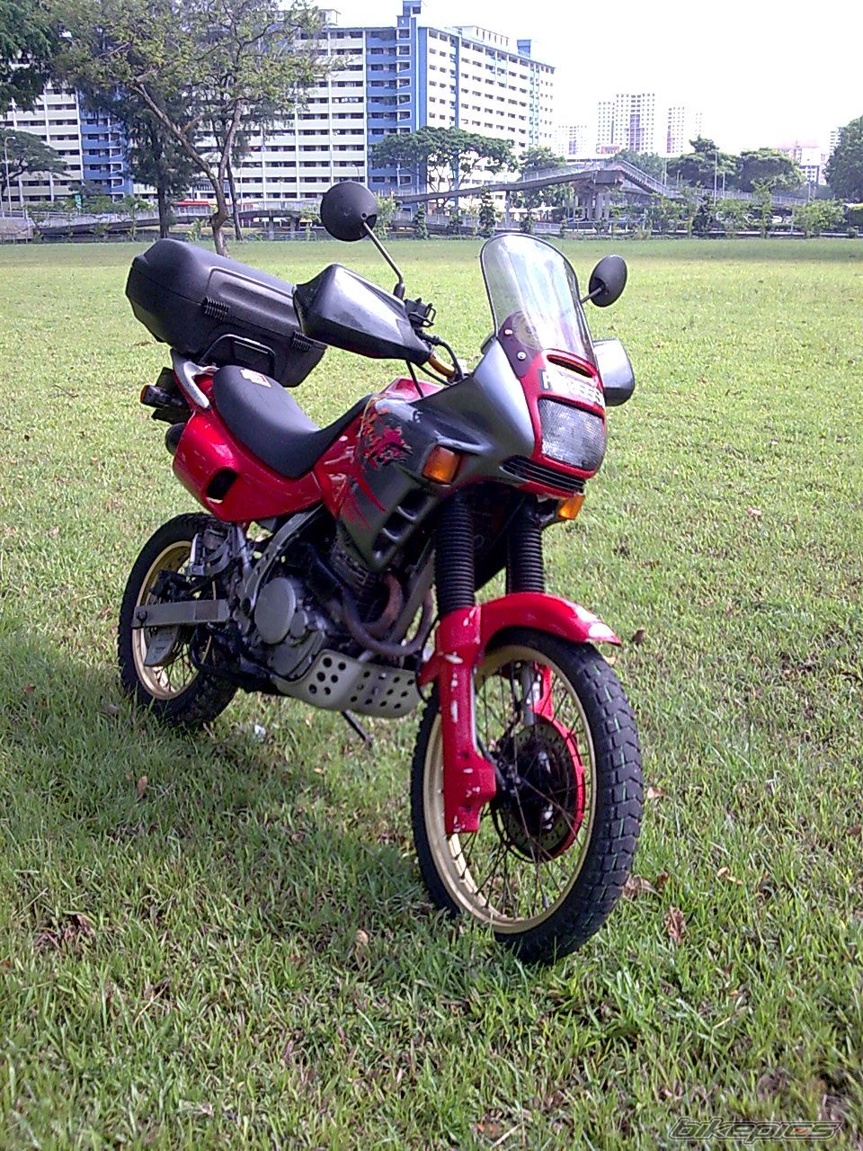 Photo 1301197