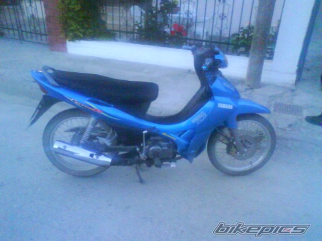 Photo 1301205