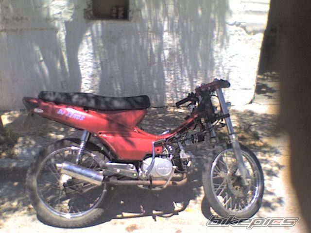 Bike Photo 1301258