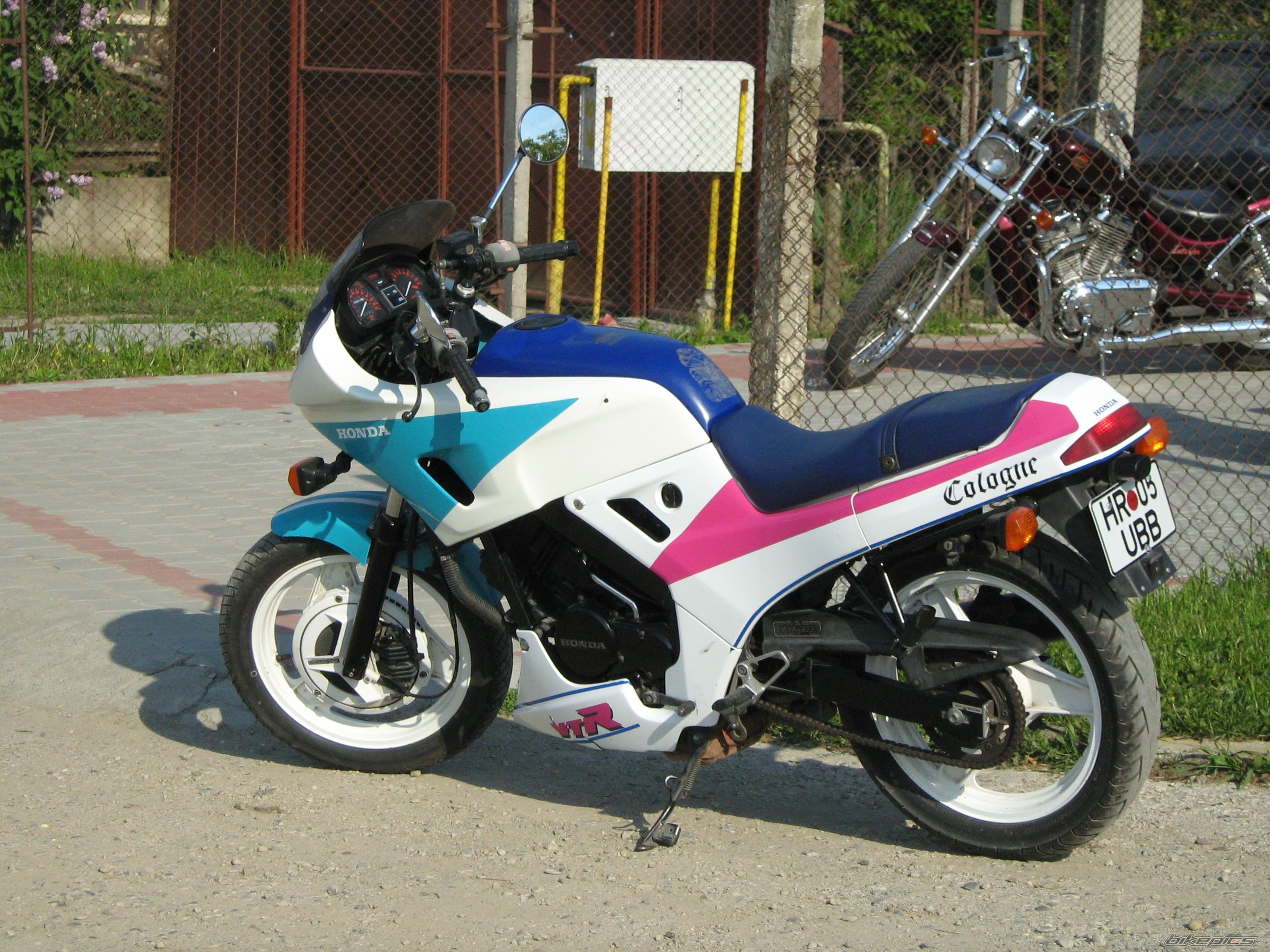 Photo 1301263
