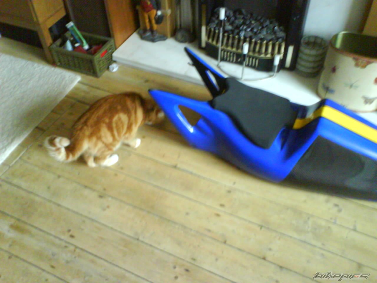 Photo 1301325