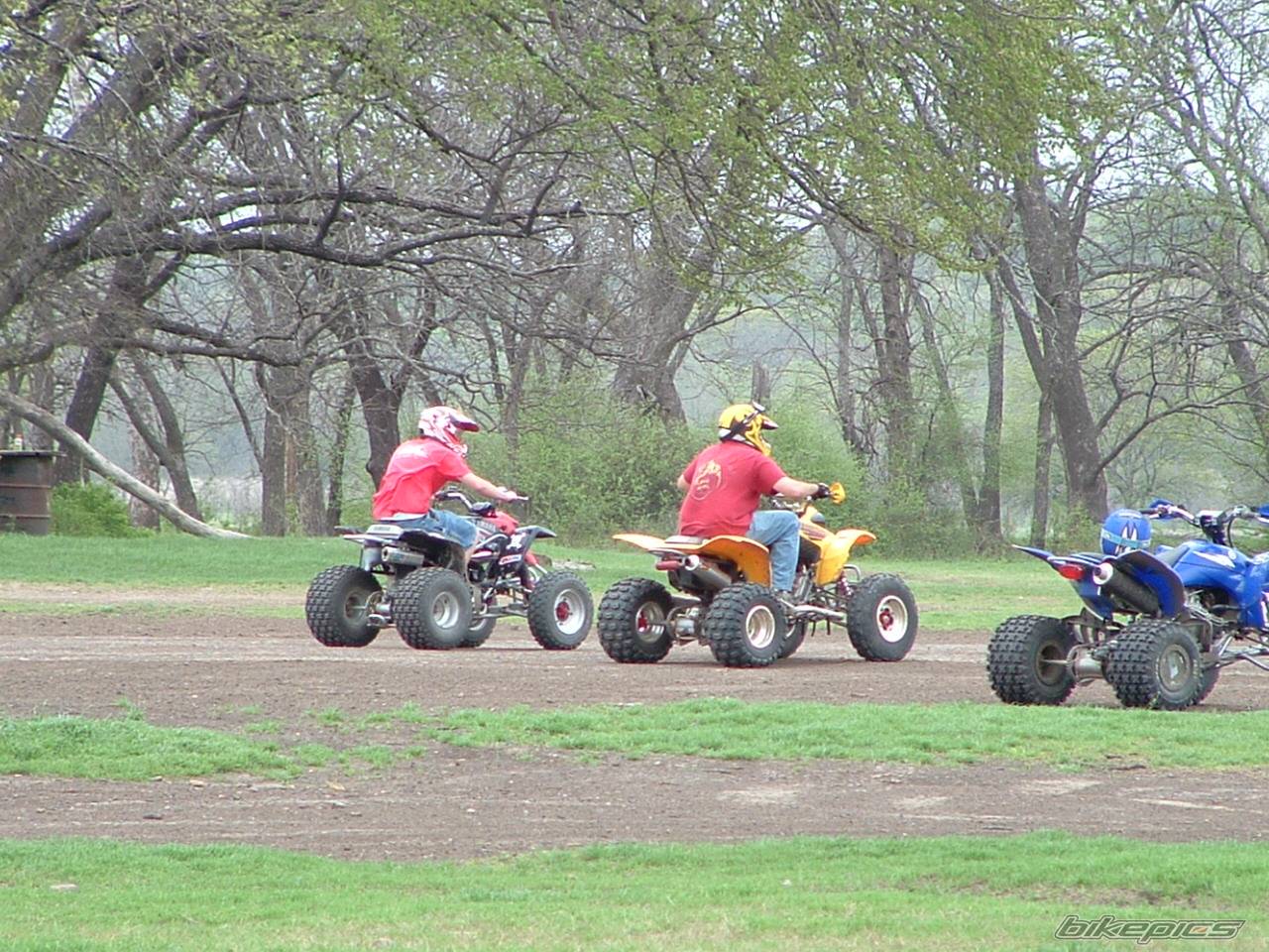 Photo 130133