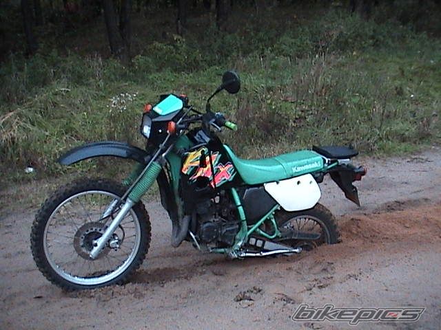 Bike Photo 1301330