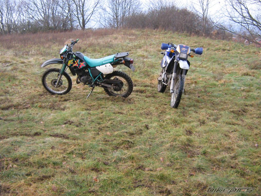 Bike Photo 1301343