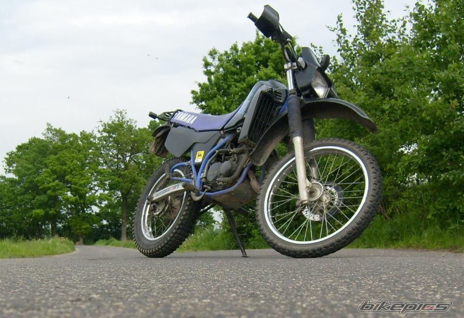 Photo 1301366