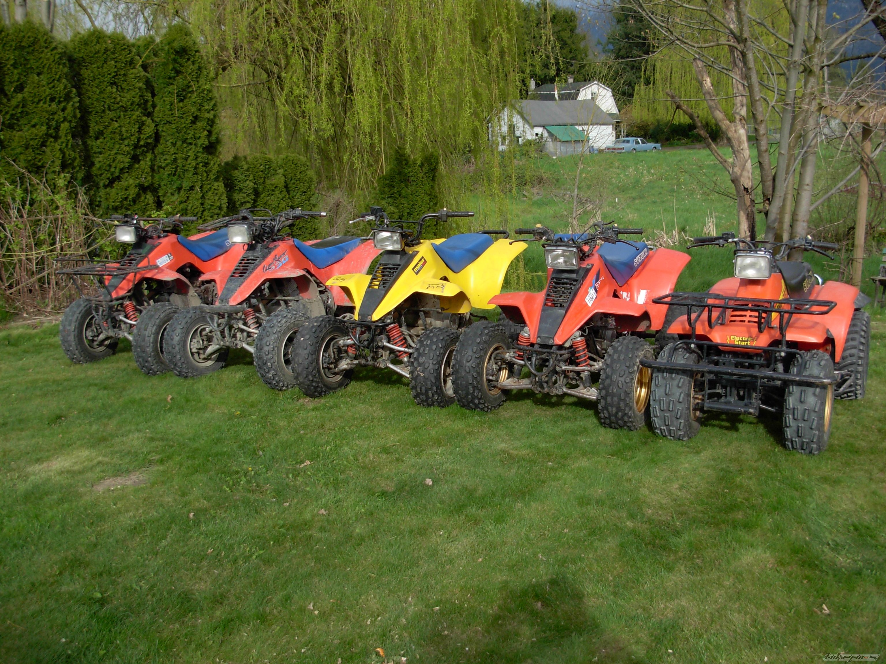 Photo 1301368