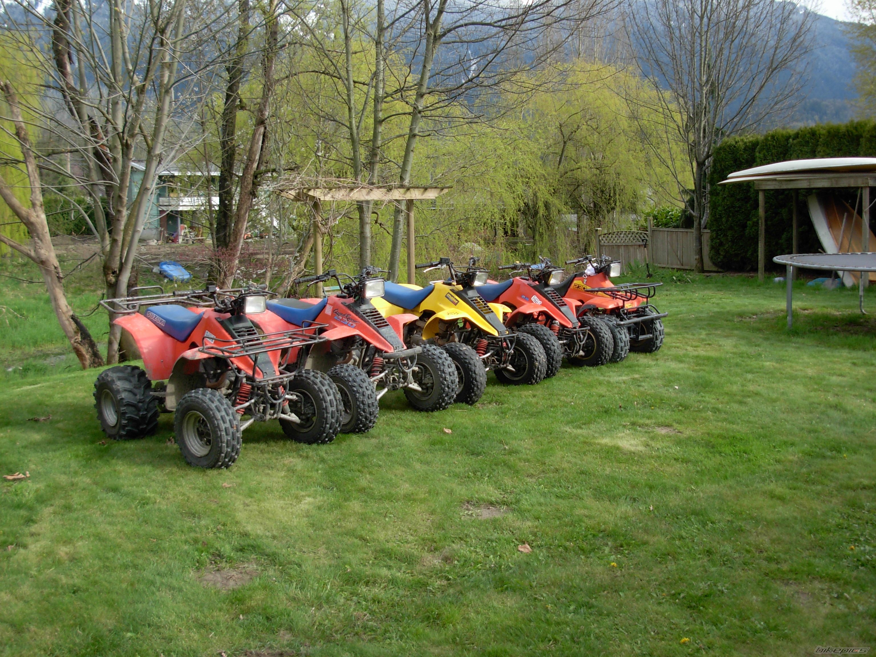 Photo 1301370