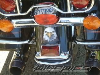 Photo 1301387