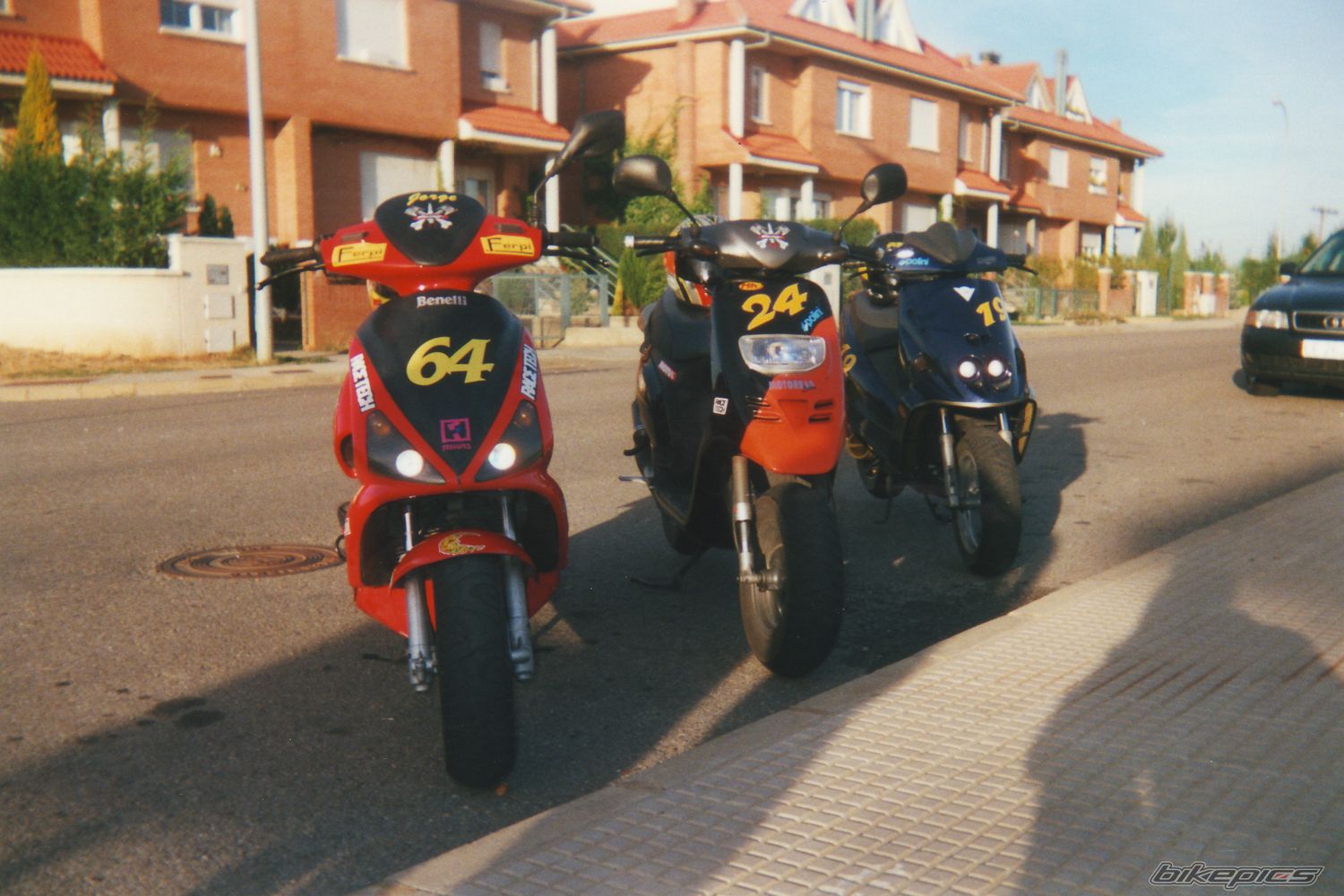 Photo 1301402