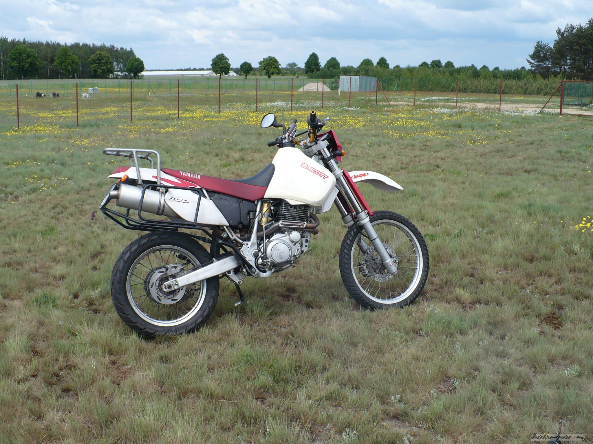 Photo 1301466