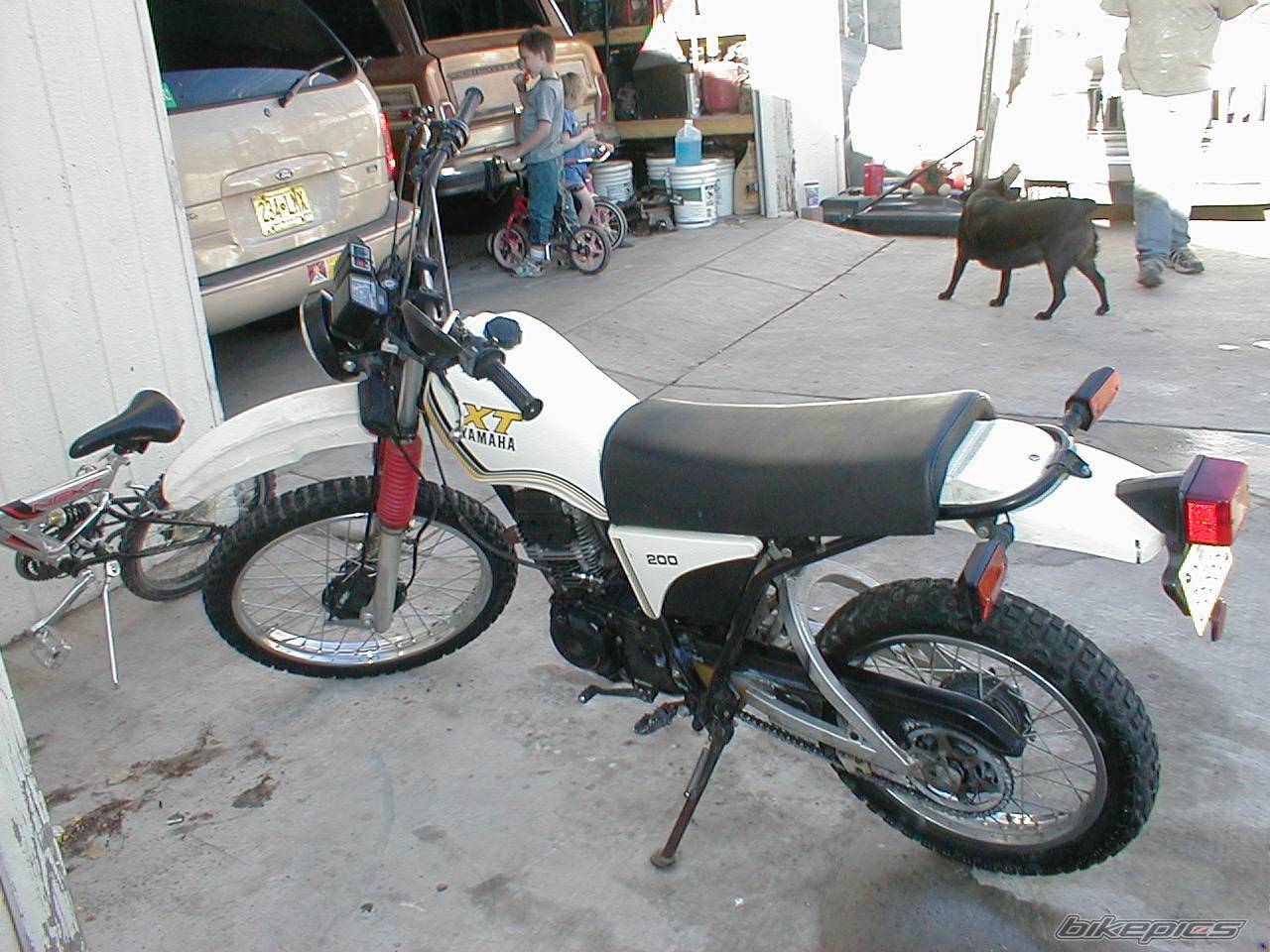 Photo 130151