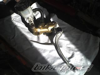Photo 1301526