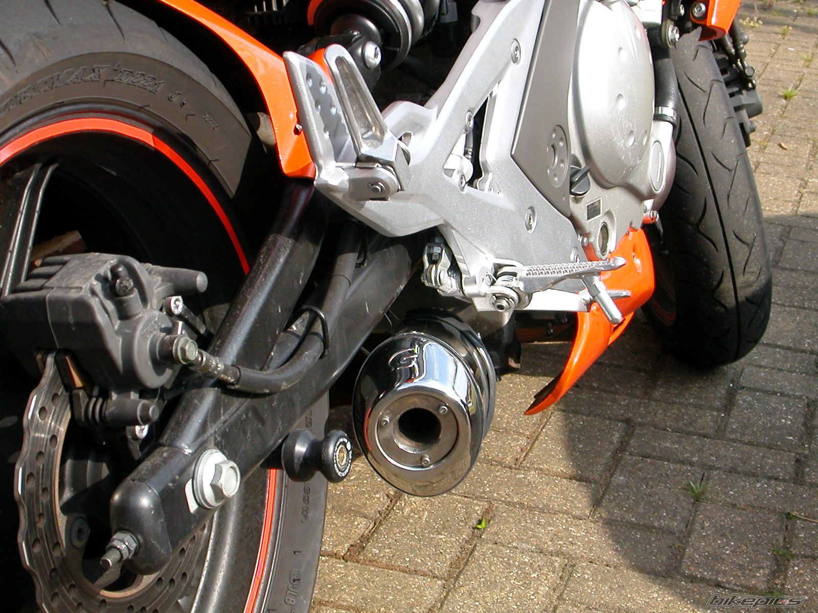 Photo 1301570