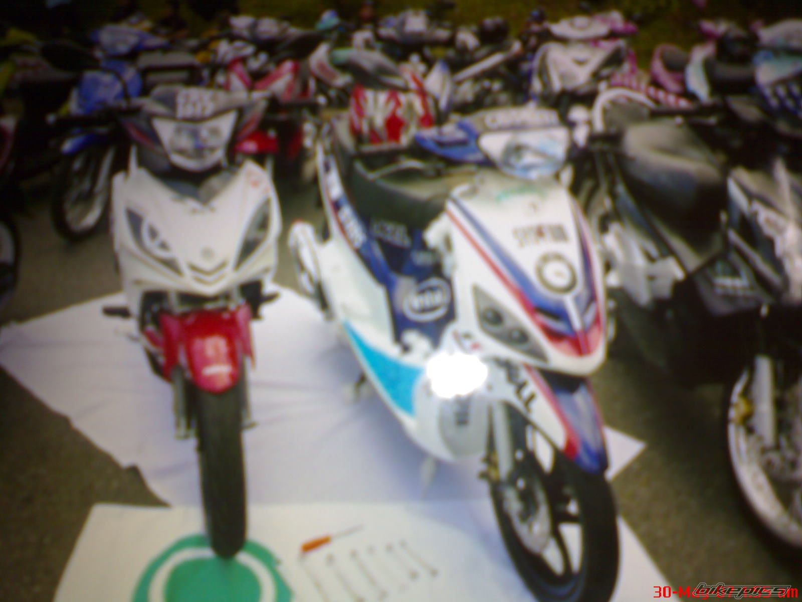 Photo 1301629