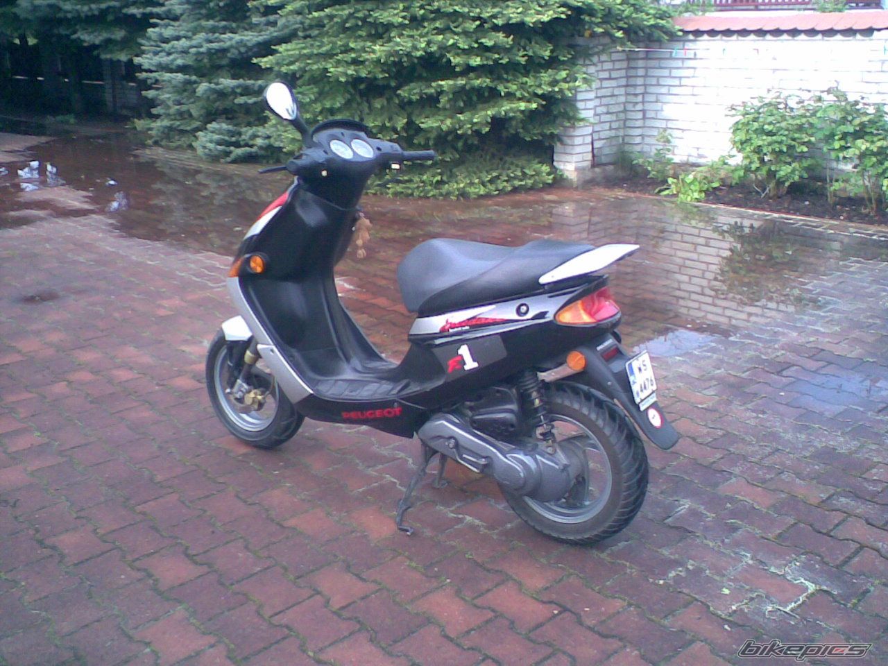 Photo 1301704