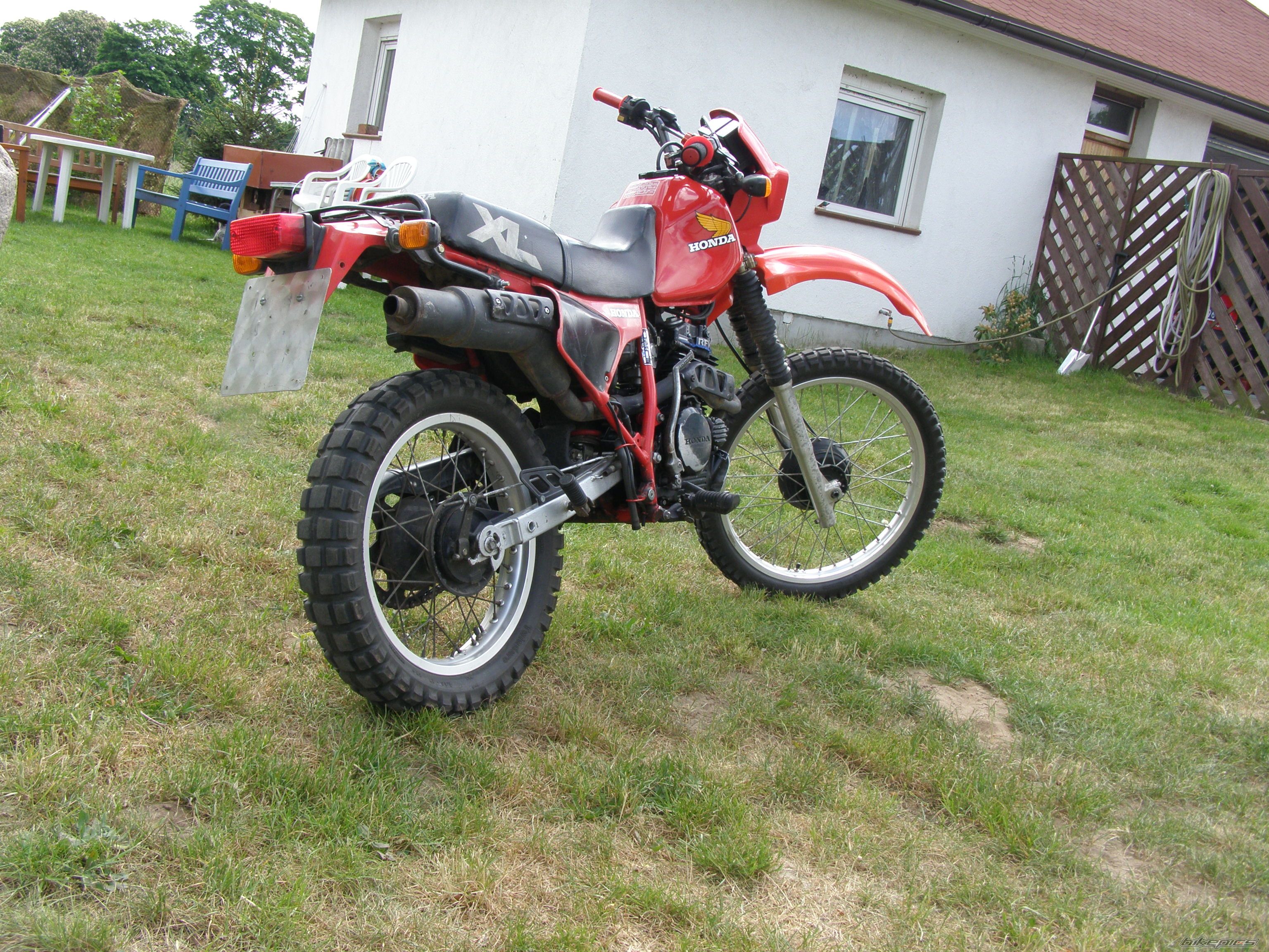 Photo 1301716
