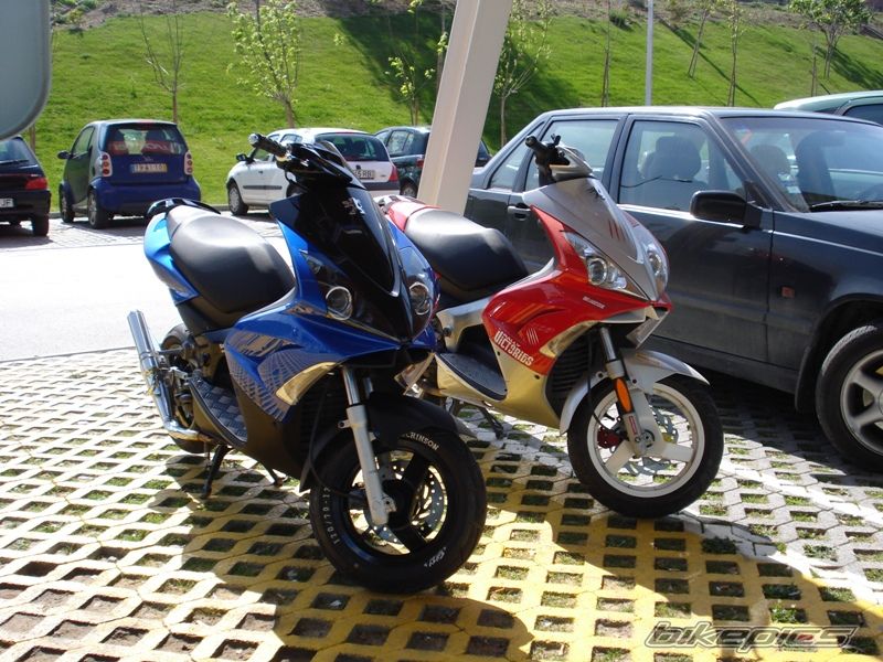 Photo 1301784