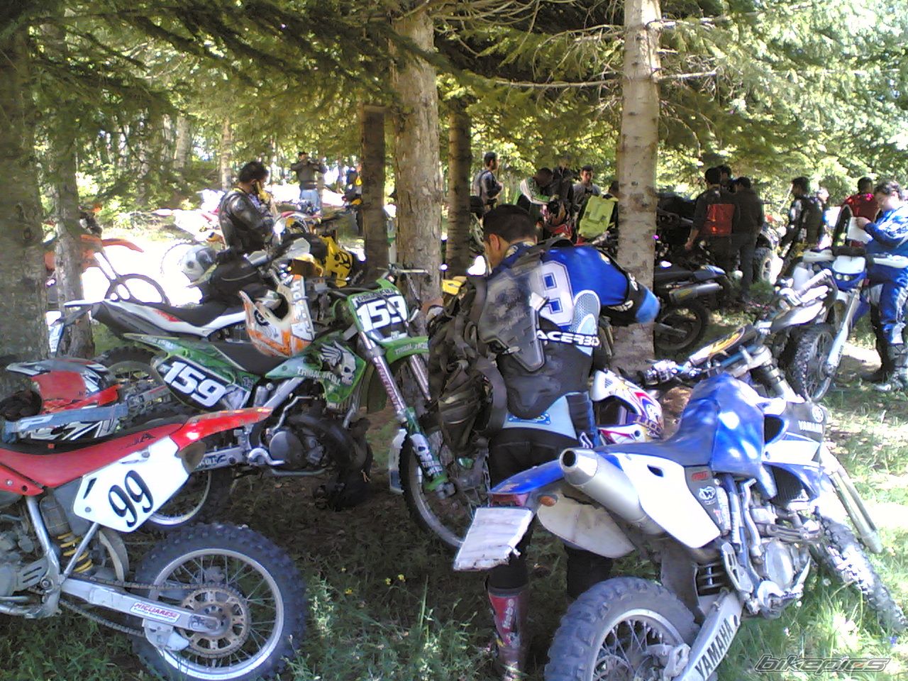 Photo 1301864