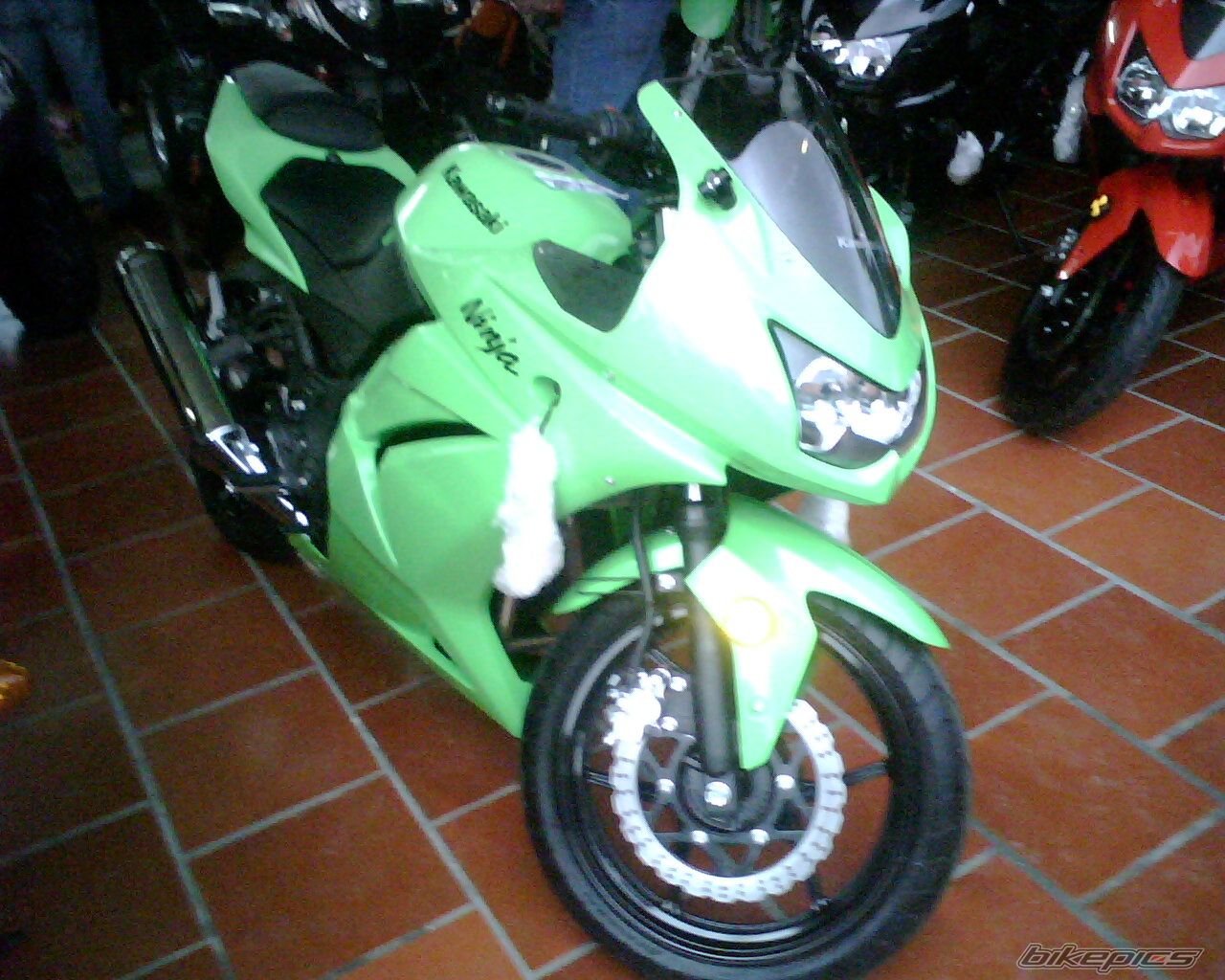Photo 1301896