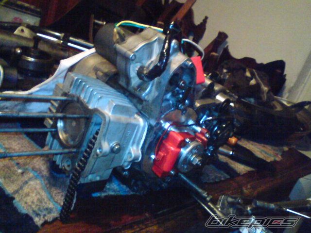 Photo 1301908