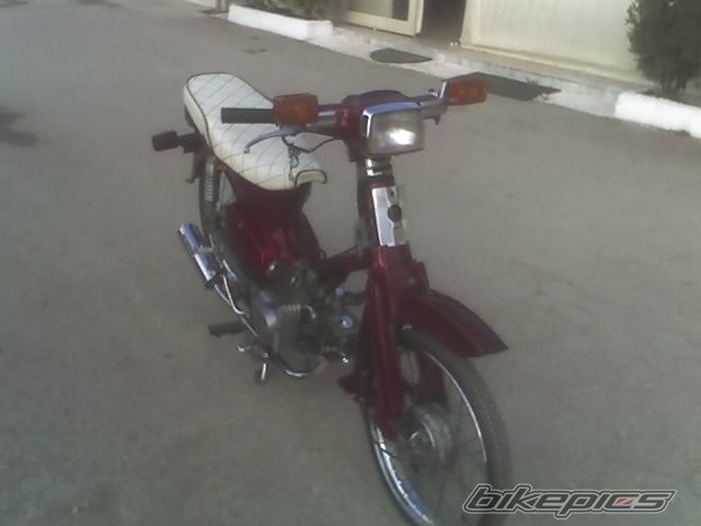 Photo 1301909