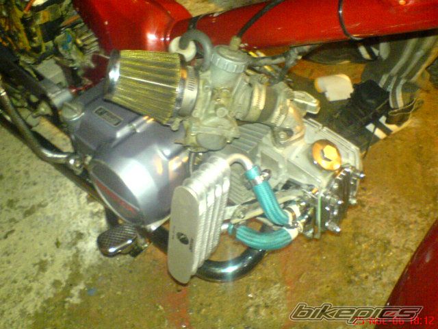 Photo 1301910