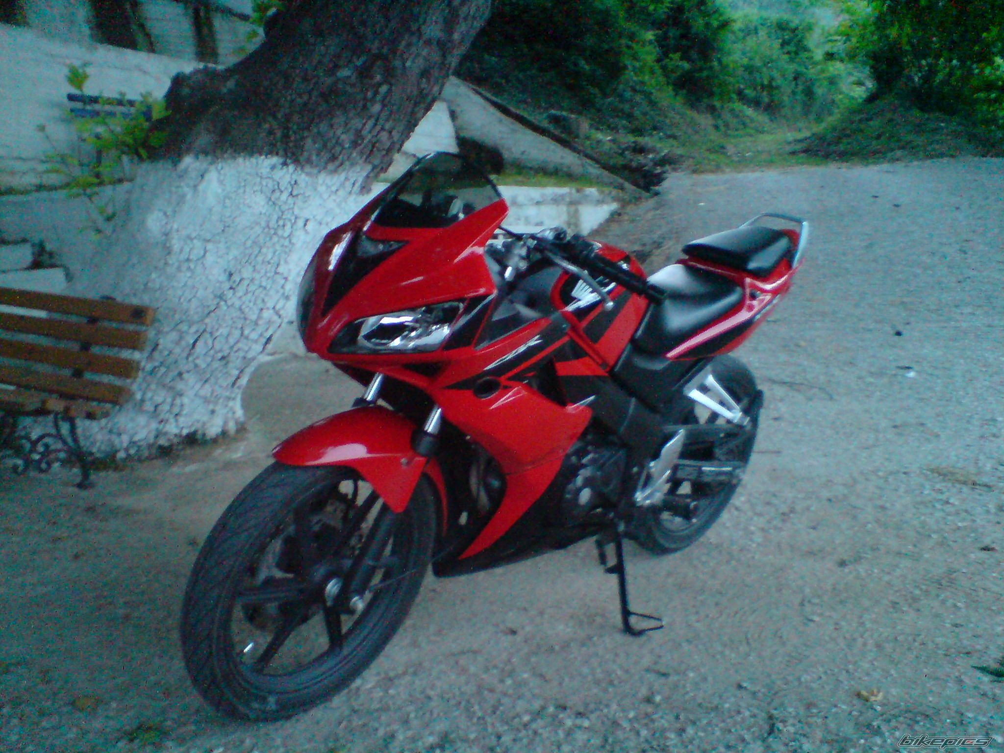 Bike Photo 1302006