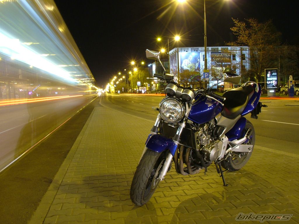 Photo 1302124