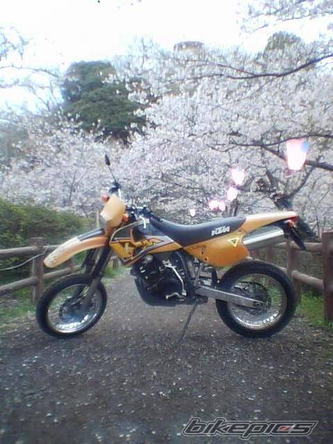 Photo 130216