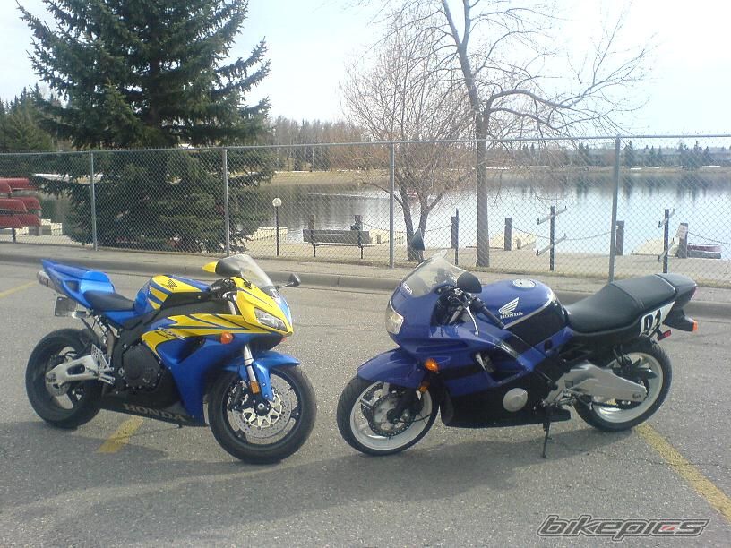 Photo 1302296