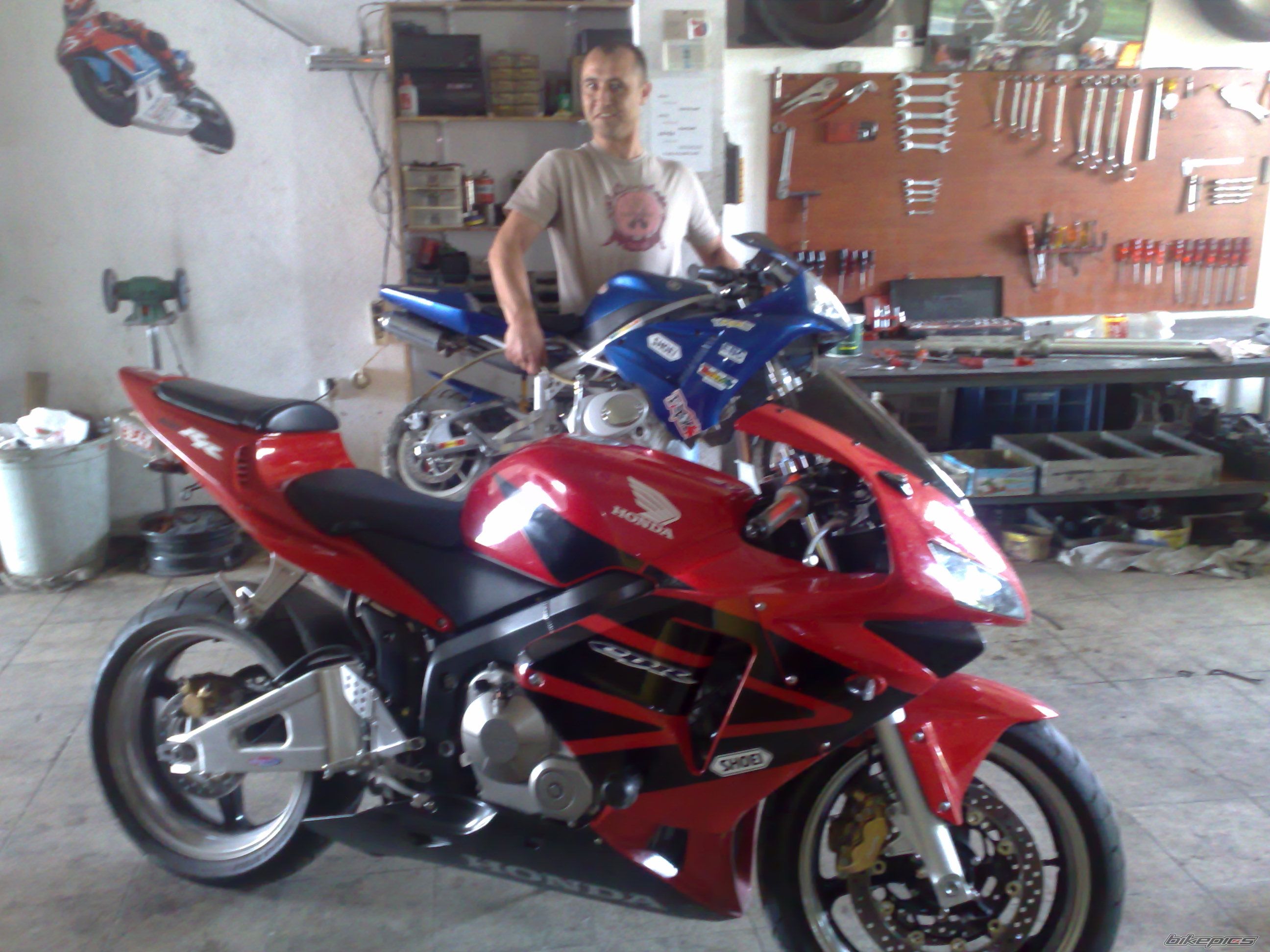 Photo 1302384
