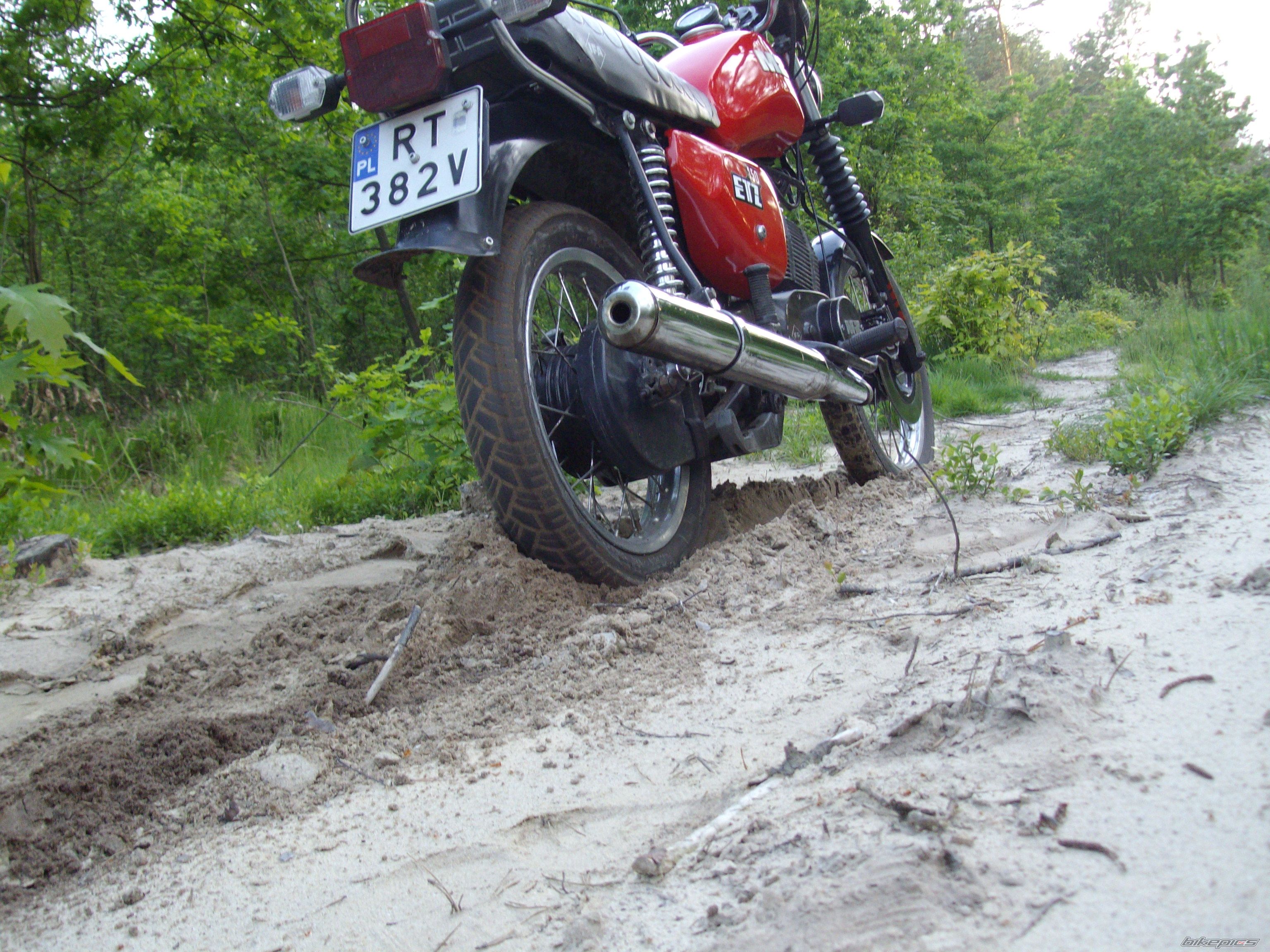 Photo 1302385