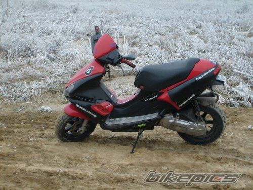 Photo 1302435
